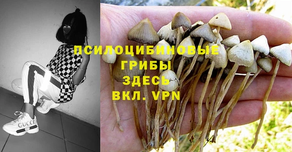 a pvp Балабаново
