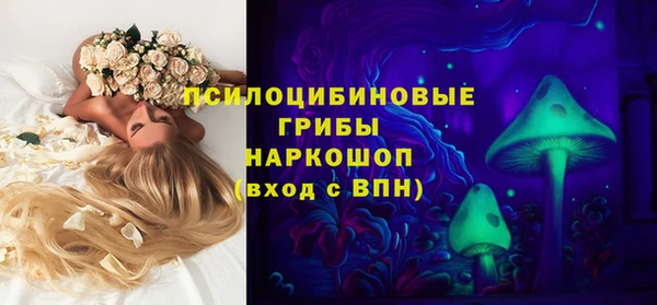 spice Инта