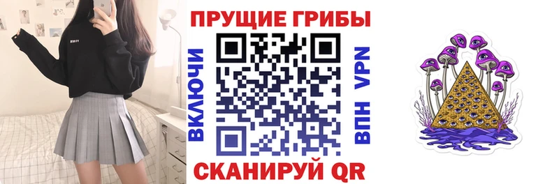 Псилоцибиновые грибы мицелий  наркотики  нарко площадка какой сайт  Велиж 